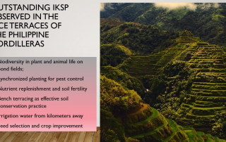 Mr. Marlon Martin, Chief of Operations at Save the Ifugao Rice Terraces Movement, discussed the utility of indigenous knowledge as a climate solution.