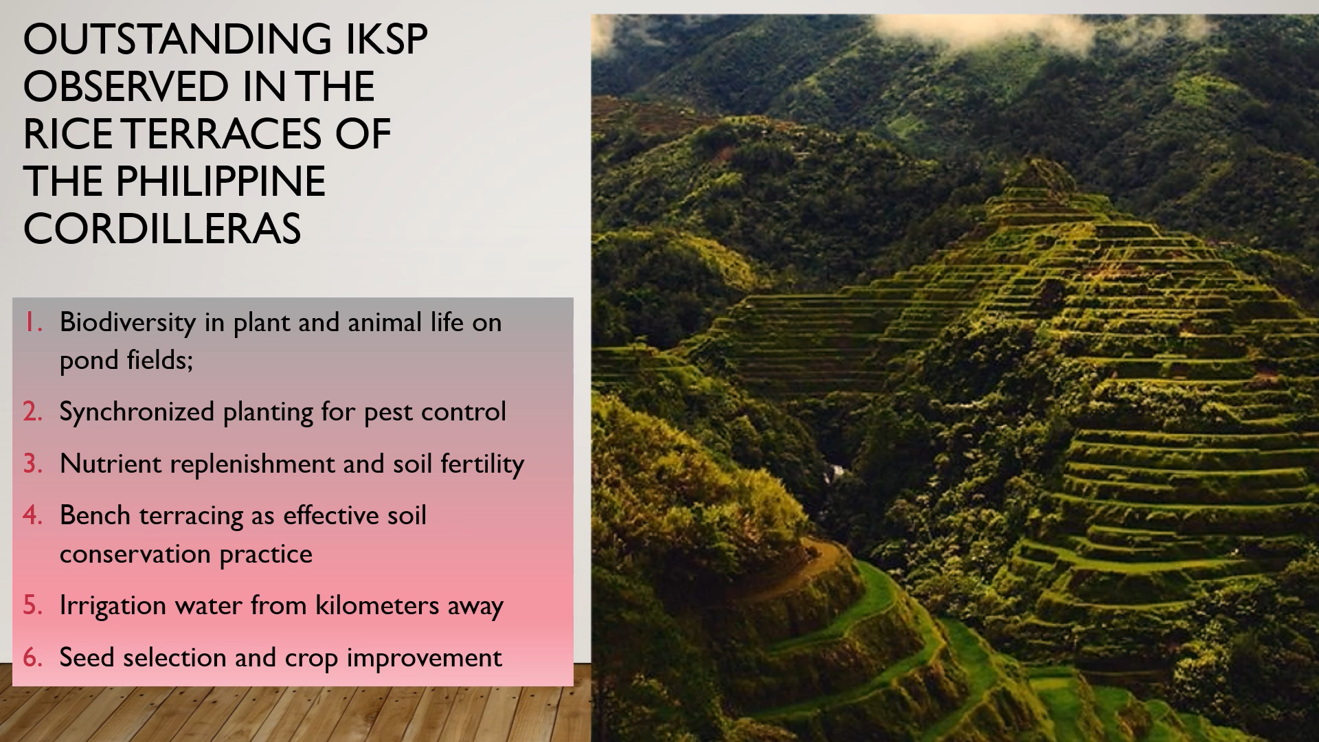 Mr. Marlon Martin, Chief of Operations at Save the Ifugao Rice Terraces Movement, discussed the utility of indigenous knowledge as a climate solution.