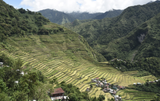 Muyung (community forest), payoh (rice terraces), and boble (village) in Batad, Ifugao. Source: Y4RIT project