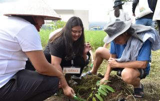 (from left to right) FMDS Dean Serrano, Ms. Mary Grace Campollo, and Dr. Wong planting one out of the five atis seedlings during the commemorative planting ceremony