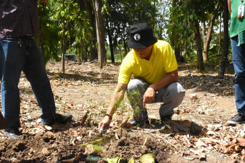 Asst. Prof. Villegas during the soil backfilling as planting preparation