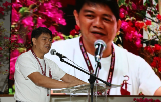 Dr. Bagarinao’s research focuses on landscape ecology, land use changes, environmental management, disaster preparedness and risk reduction, and GIS-based spatial analysis.