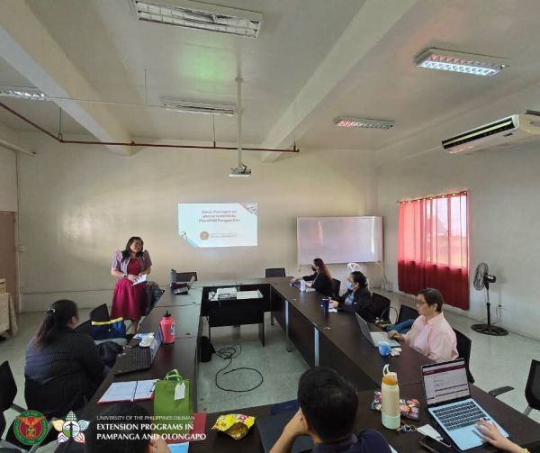Asst. Prof. Cabanes discusses the key concepts on microcredential courses during the orientation (Photo from UPDEPPO)