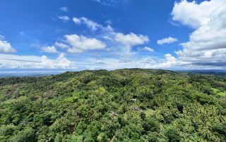 Atbang Farm Food Forest in Calape, Bohol;