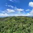 Atbang Farm Food Forest in Calape, Bohol;