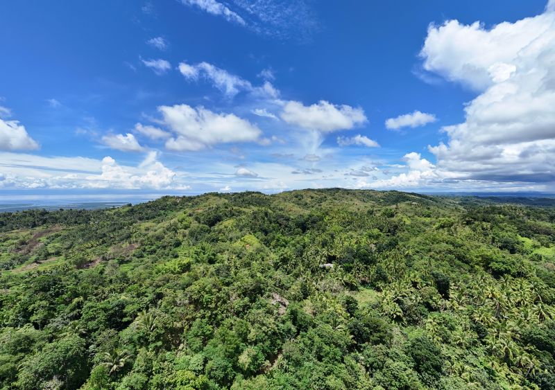 Atbang Farm Food Forest in Calape, Bohol;