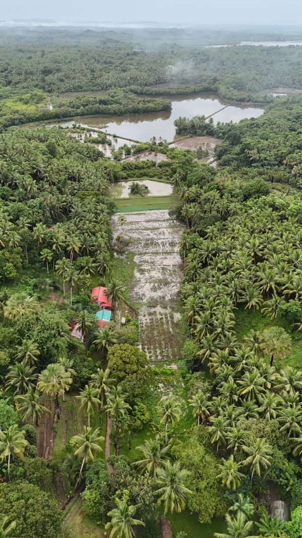 Aerial shot of the Glinoga Integrated Farm in Pitogo, Quezon