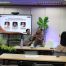 Asst. Profs. Rosario and Halos joined by Asst. Prof. Sarmiento via Zoom, respond to questions about their studies.