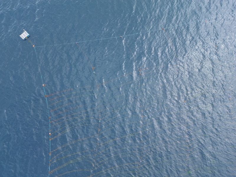the Climate Foundation’s pioneering aquatic permaculture site in Compostela, Cebu